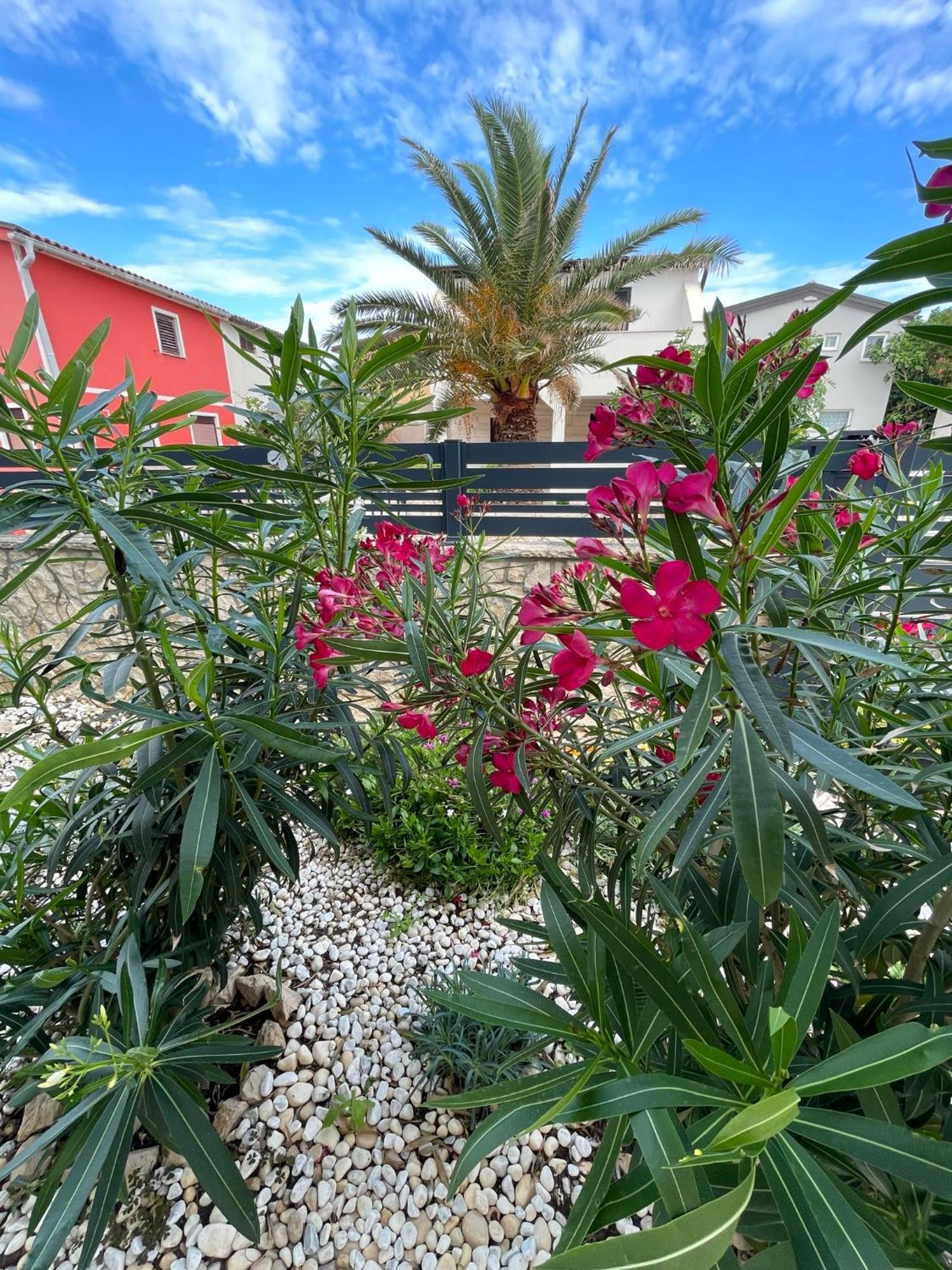 ויר Apartmenthouse Ines מראה חיצוני תמונה